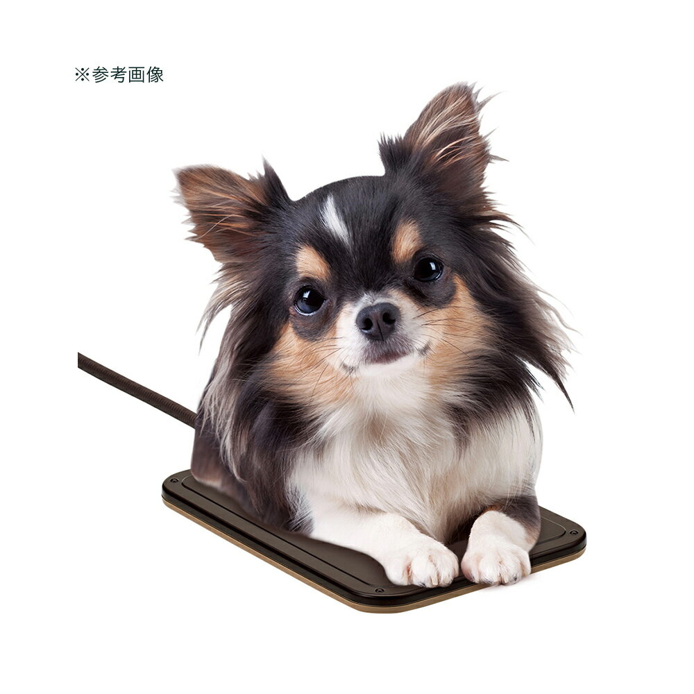 ��2��5�����������Ψ2ʬ��1��1������100�󡡥ޥ륫�󡡱��ֳ����ۥäȥҡ��������ߥ�