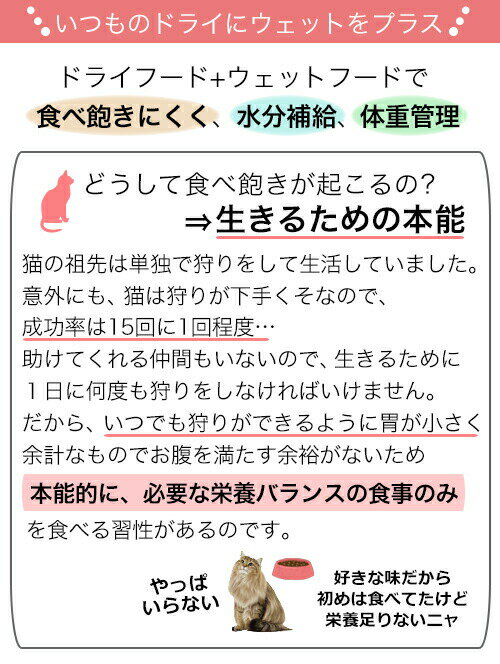 ロイヤルカナン　猫　栄養バランスにこだわる成猫用セット　とろ〜りグレービー　パウチ12袋　＋　ドライフード　400g　ジップ無し　関東当日便