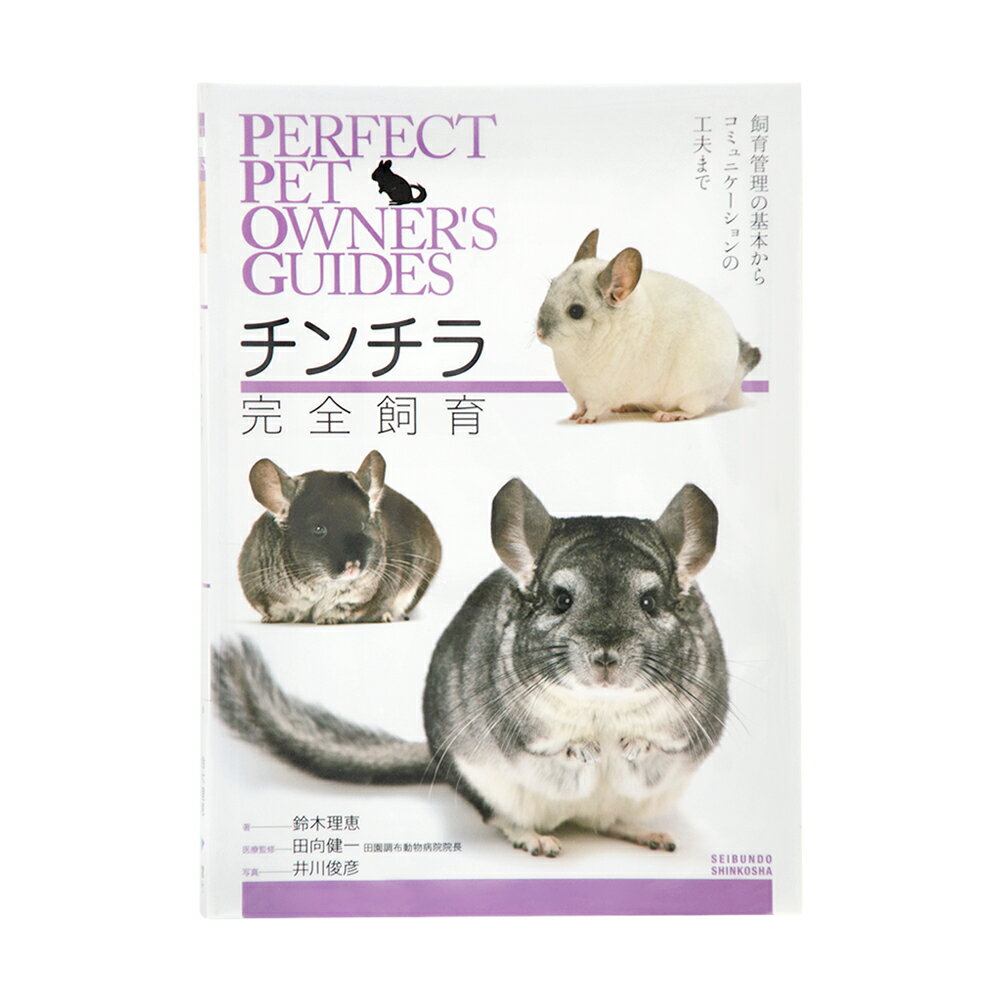 チンチラ　完全飼育　関東当日便