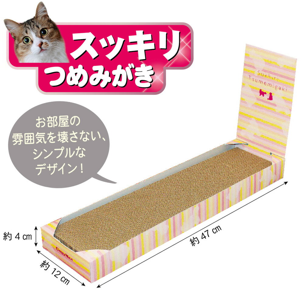 ����ƥ����ޥ󡡥��å���Ĥ�ߤ�����1P������������