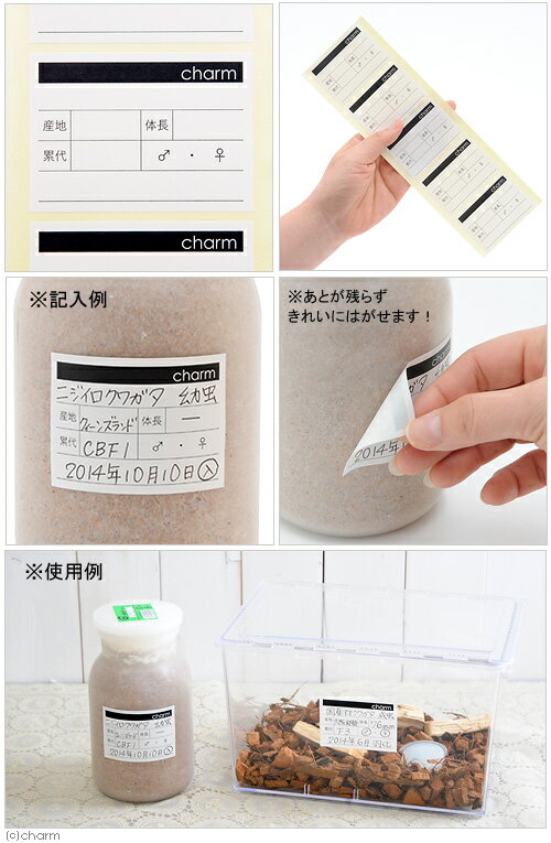 チャームオリジナル 簡単に剥がせる昆虫ラベル ...の紹介画像2