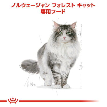 ロイヤルカナン　猫　ノルウェージャン　フォレスト　キャット　成猫用　生後12ヵ月齢から12歳まで　400g　ジップ無し（キャットフード　ドライ）　関東当日便