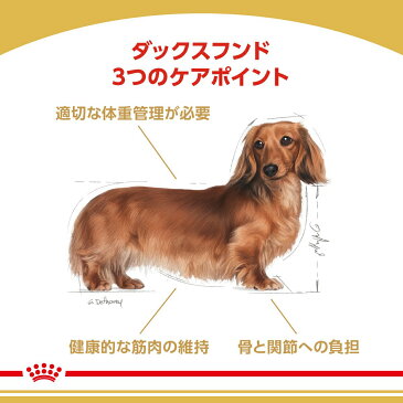 ロイヤルカナン　ダックスフンド　成犬用　3kg×3袋　3182550733830　5点限り　沖縄別途送料　ジップ付　関東当日便