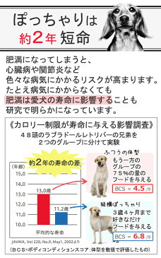 ロイヤルカナン　ミニ　ステアライズド　成犬・高齢犬用　4kg×3袋　3182550807067　ジップ付　沖縄別途送料　関東当日便