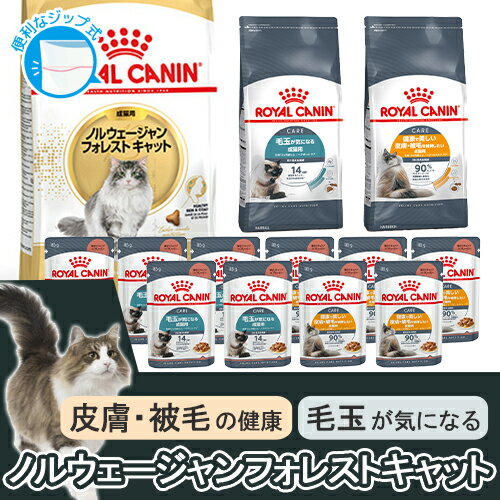 ロイヤルカナン　猫　ノルウェージャンフォレストキャットセット　毛玉、皮膚・被毛の健康に配慮　ドライ3種各1袋　＋　ウェット2種各5袋　関東当日便