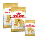 ロイヤルカナン 柴犬 8歳からのフード切り替えセット 成犬用3kg×2袋 ジップ付+中・高齢犬用800g ジップ付 関東当日便