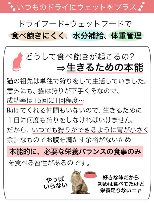 ロイヤルカナン　猫　成長後期の子猫用ドライウェットセット　ドライ2kg×2袋　ジップ付　＋　パウチ85g×12袋　沖縄別途送料　関東当日便