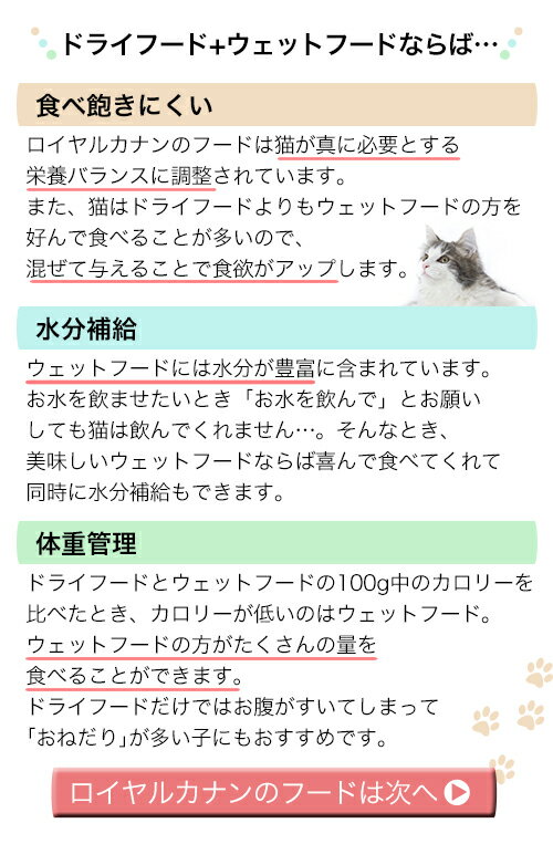 ロイヤルカナン　猫　成長後期の子猫用ドライウェットセット　ドライ2kg×2袋　ジップ付　＋　パウチ85g×12袋　沖縄別途送料　関東当日便