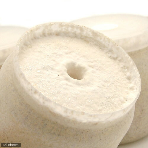 �ݻ�ӥ�XL��POT���ҥ饿����1400cc��5��