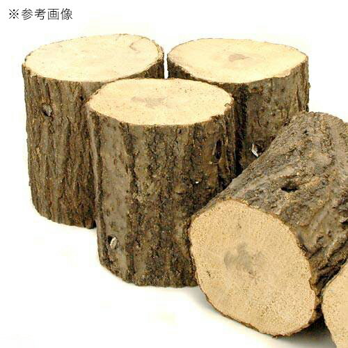 ���ʥ黺���ڡ����ܡ�15�ܡ�������塞���ѡ�����������