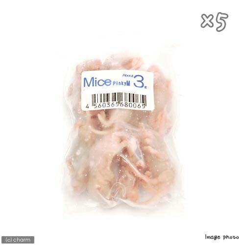 冷凍★M（10匹） カタ養殖 Mice3 冷凍ピンクマウス パック×5 冷凍マウス 別途クール手数料