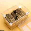 オオクワガタ産卵セット　器具のみ　説明書付き　昆虫　飼育セット　プロゼリー　マット　産卵木　関東当日便