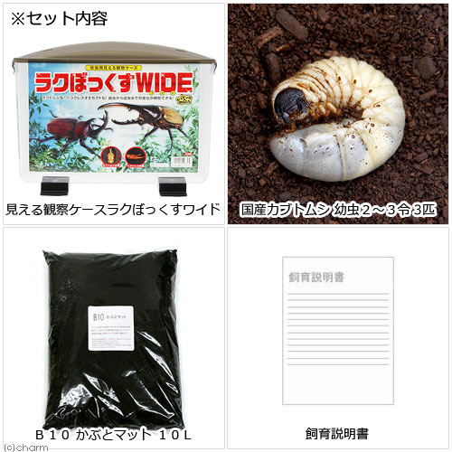 (昆虫)見える観察ケース ラクぼっくす ワイド...の紹介画像2