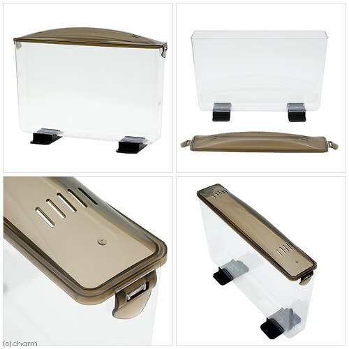 �ʺ���˸�����ѻ����������饯�ܤä������磻�ɡ��񻺥��֥ȥॷ������饻�åȡ��������ա��ܽ��͹����