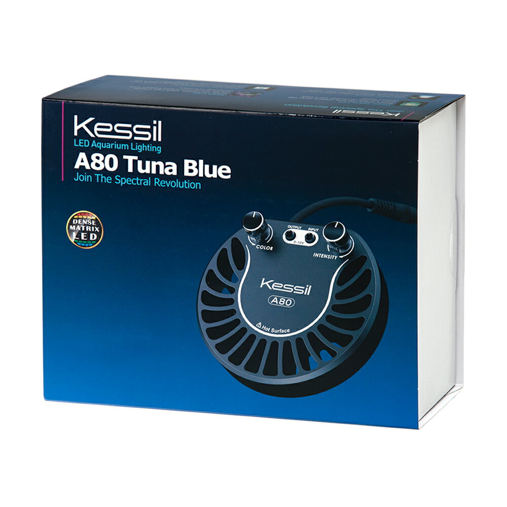 KESSIL A80 Tuna Blue 海水用 30~60cm向け