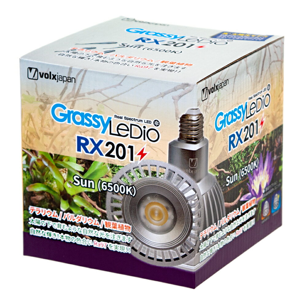 ボルクスジャパン Grassy LeDio RX201 Sun/サン