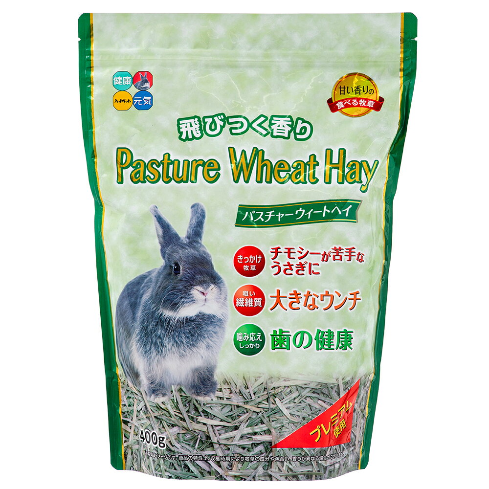 ハイペット　パスチャーウィートヘイ　400g【HLS_DU】　関東当日便