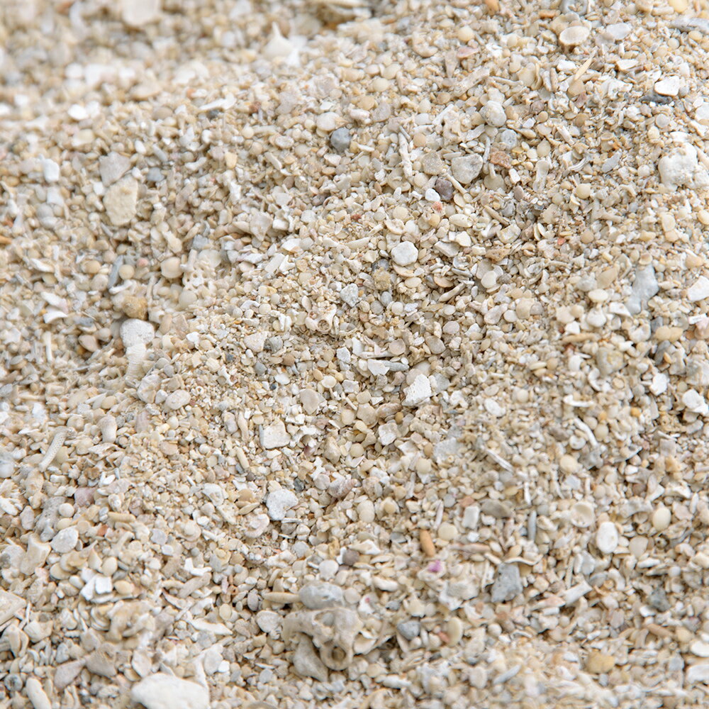 国内洗浄焼成済み C.P.Farm アラゴナイトサンド ノーマル 9kg（3kg×3）（約7.2L） 海水水槽用底砂