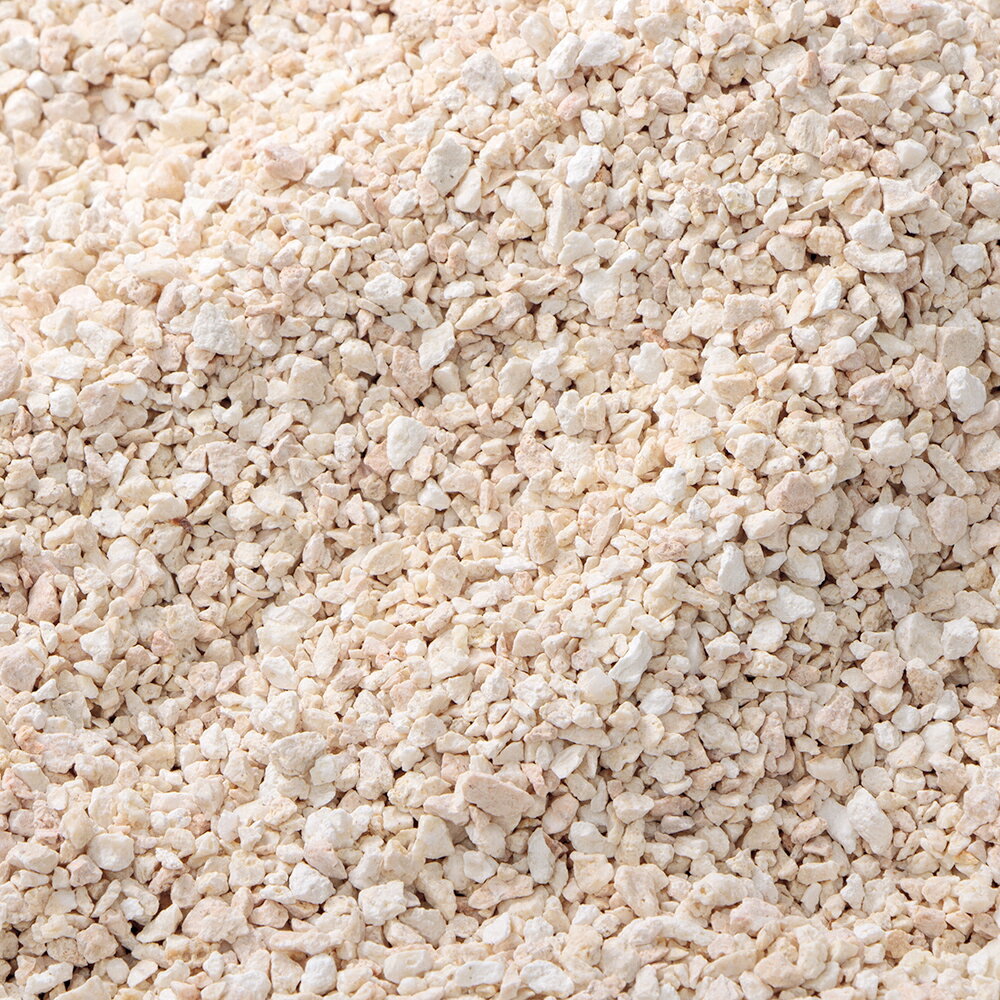 国内洗浄焼成済み C.P.Farm 化石サンゴ砂 fossil coral M 6kg(3kg×2) 海水水槽用底砂 | RIUM