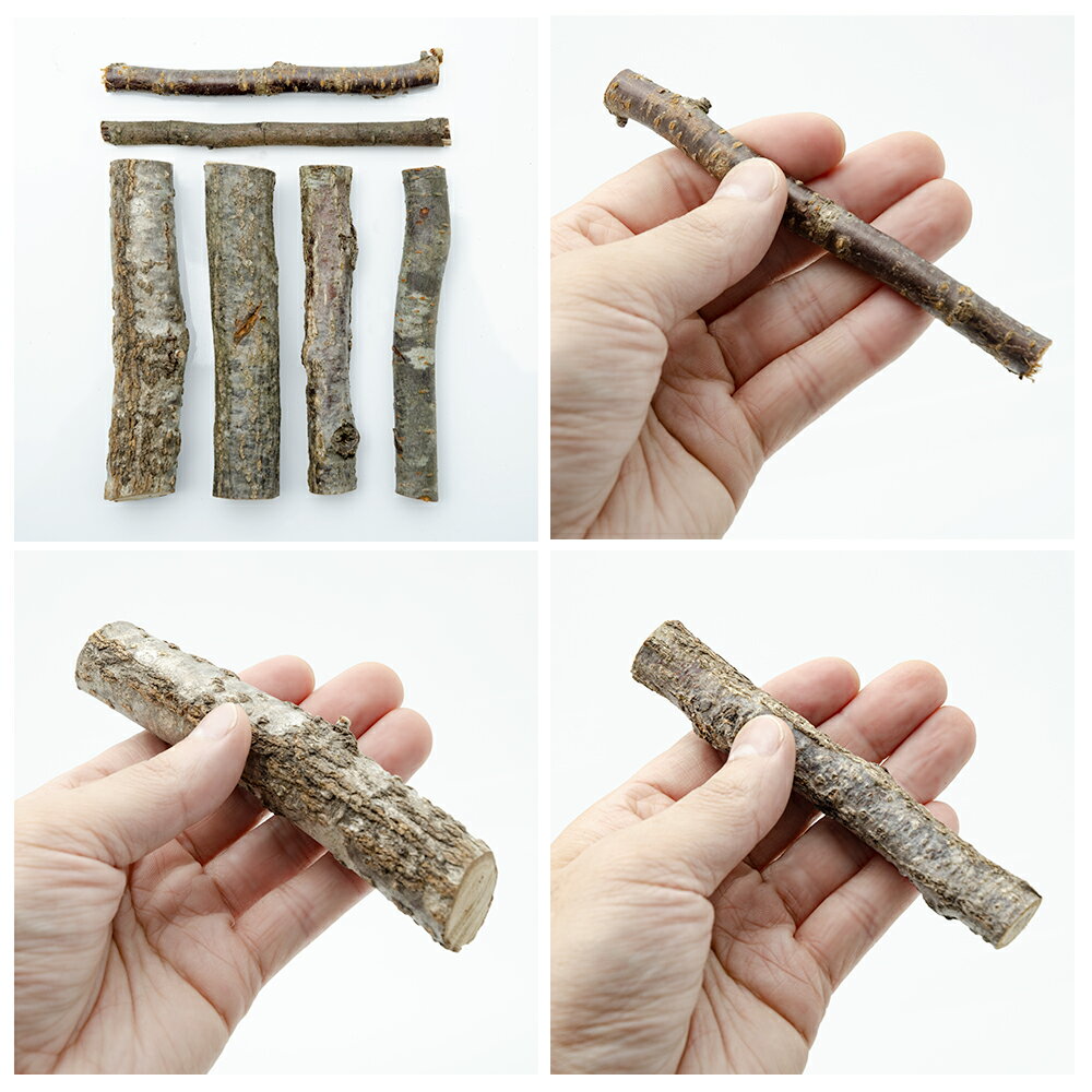 フジコン 転倒防止小枝 昆虫 カブトムシ クワ...の紹介画像2