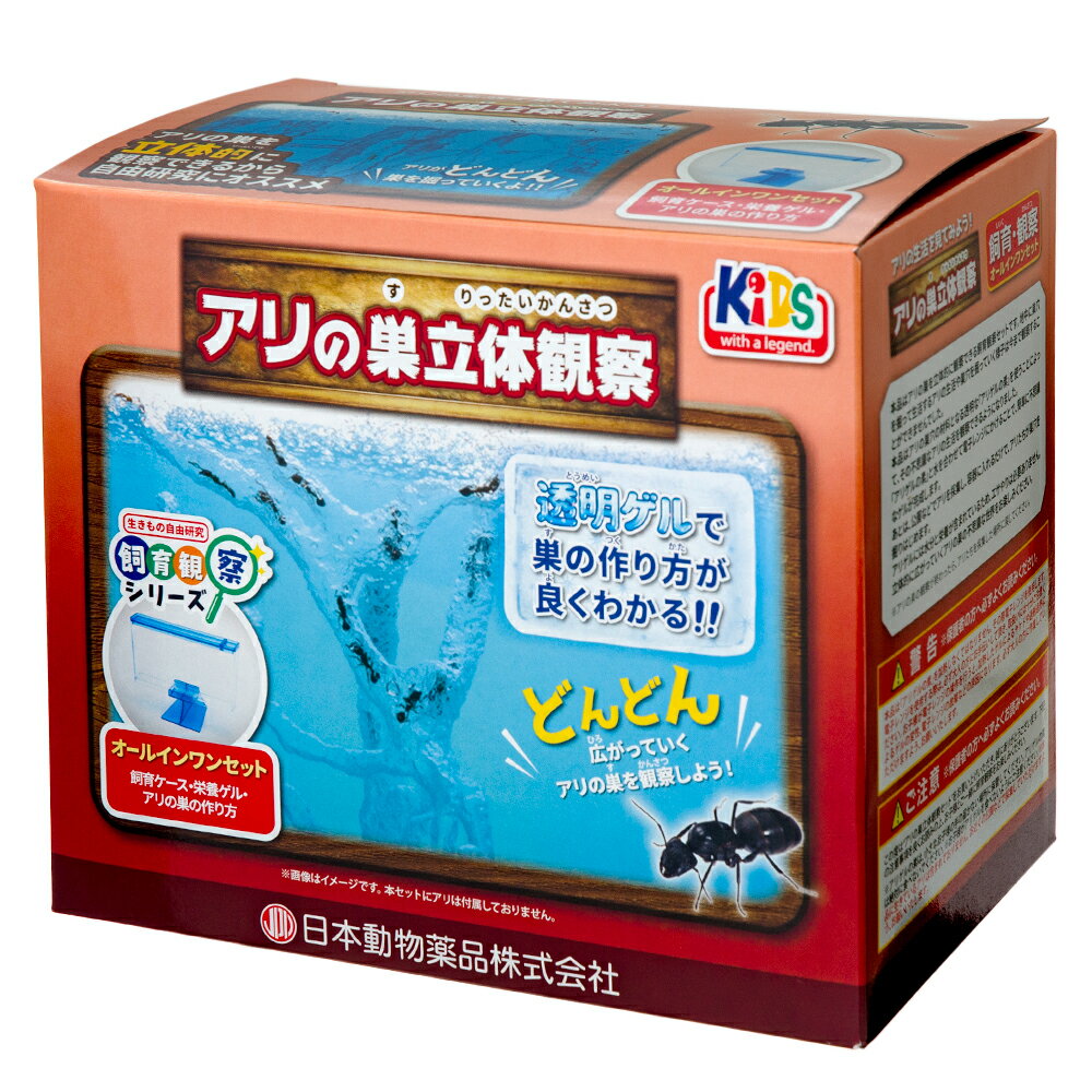 夏休みの子どもの自由研究に！アリなどの観察・飼育キットのおすすめは？