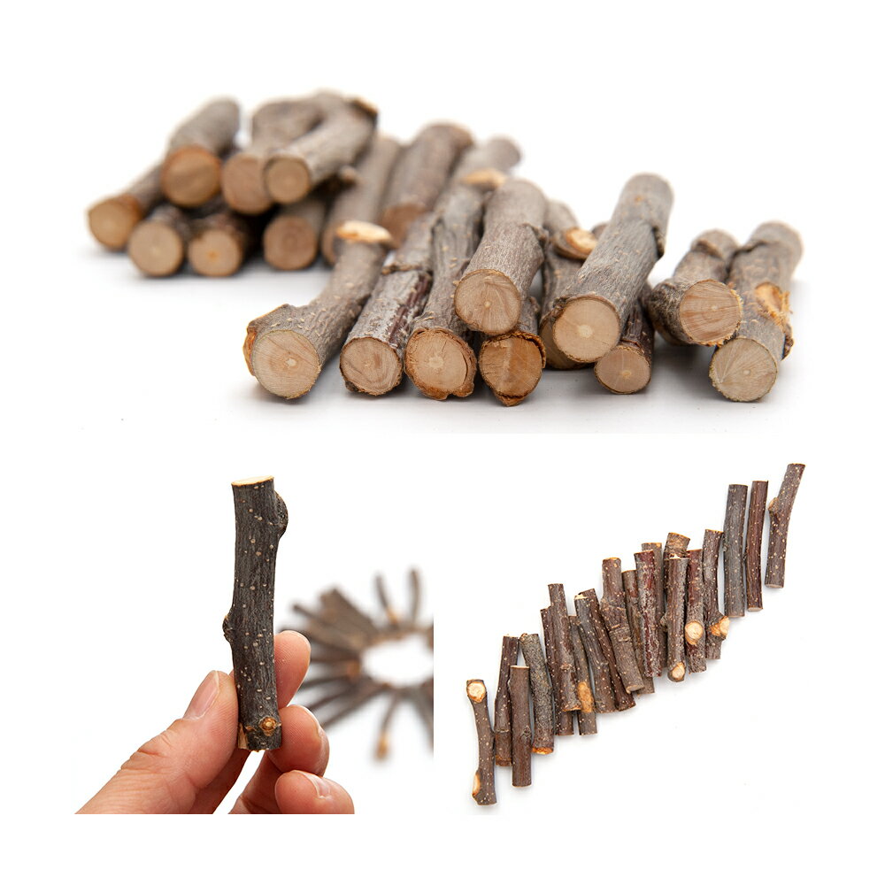 �������ڡ��񻺡���󤴤��ڤΤ������ڡ����硼�ȡ�500g�ʤ��褽70��80�����ˡ��ٻޡ���ޡ���ưʪ��������㡡̵ź�á�̵�忧�����������ϥॹ����������������