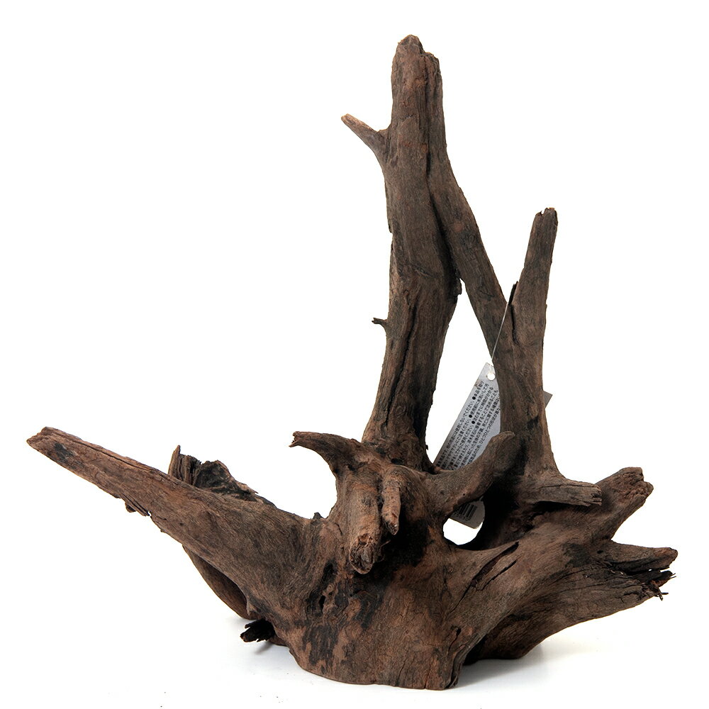 カミハタ タイ産天然流木 ダークホーンウッド L 形状おまかせ 未アク抜き 約28×20×30cm