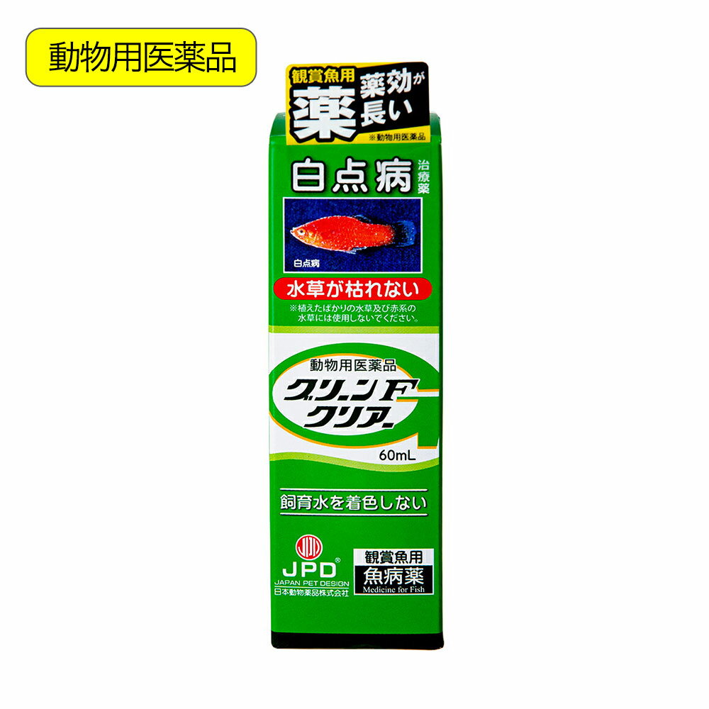 動物用医薬品　観賞魚用魚病薬　ニチドウ　グリーンFクリアー　60ml　薬効10～14日間　水草可　白点病【HLS_DU】　関東当日便