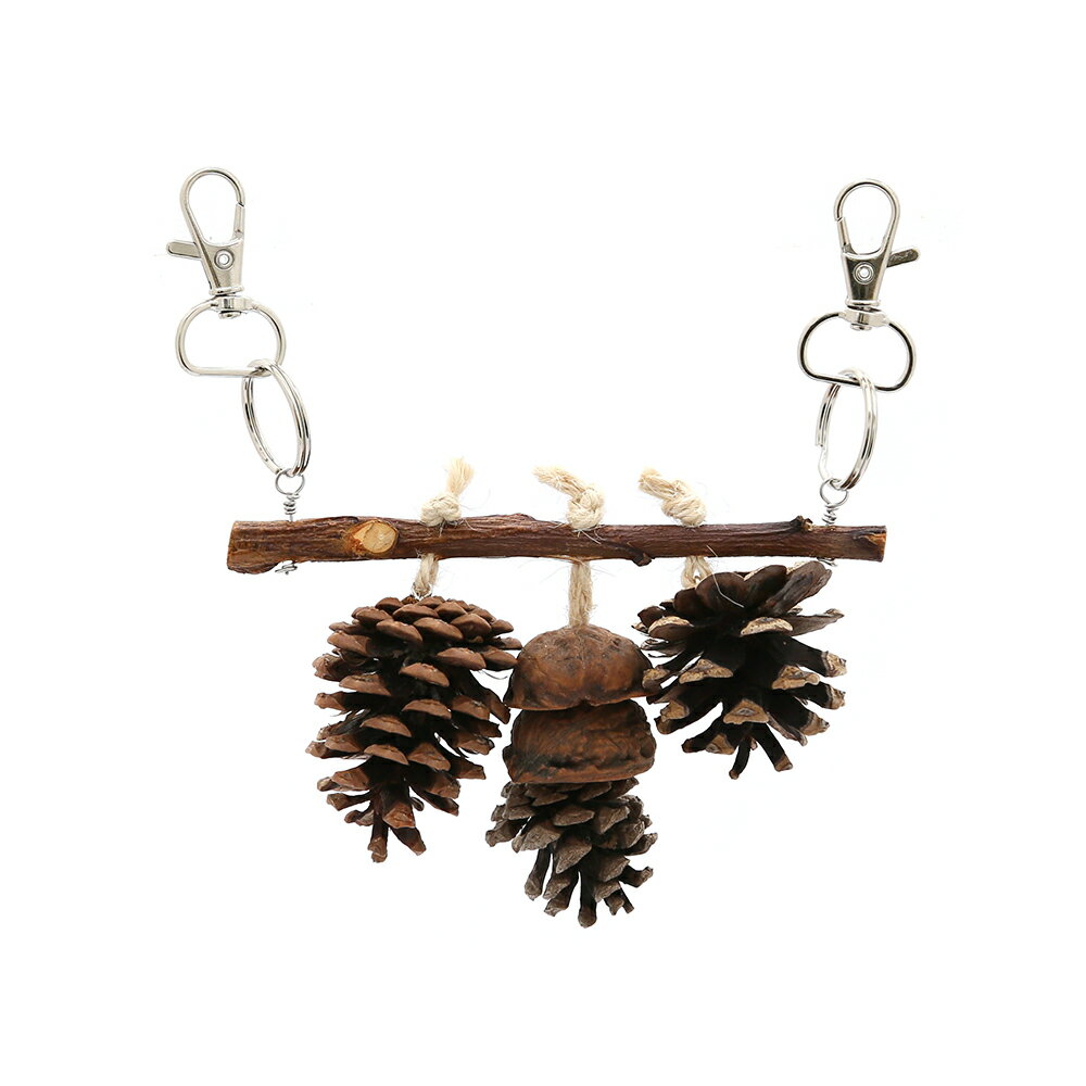 【11/25限定】当選確率2分の1!1等最大100% 小鳥の松ぼっくりとくるみのナチュラルトイ ハンドメイド バードトイ おもちゃ