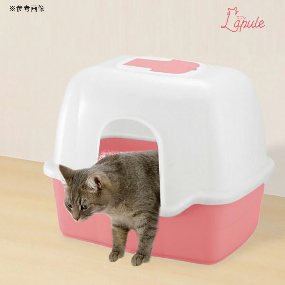 ��å����롡��ץ졡�ͥ��ȥ��졡������60���ա����ա����졼������������