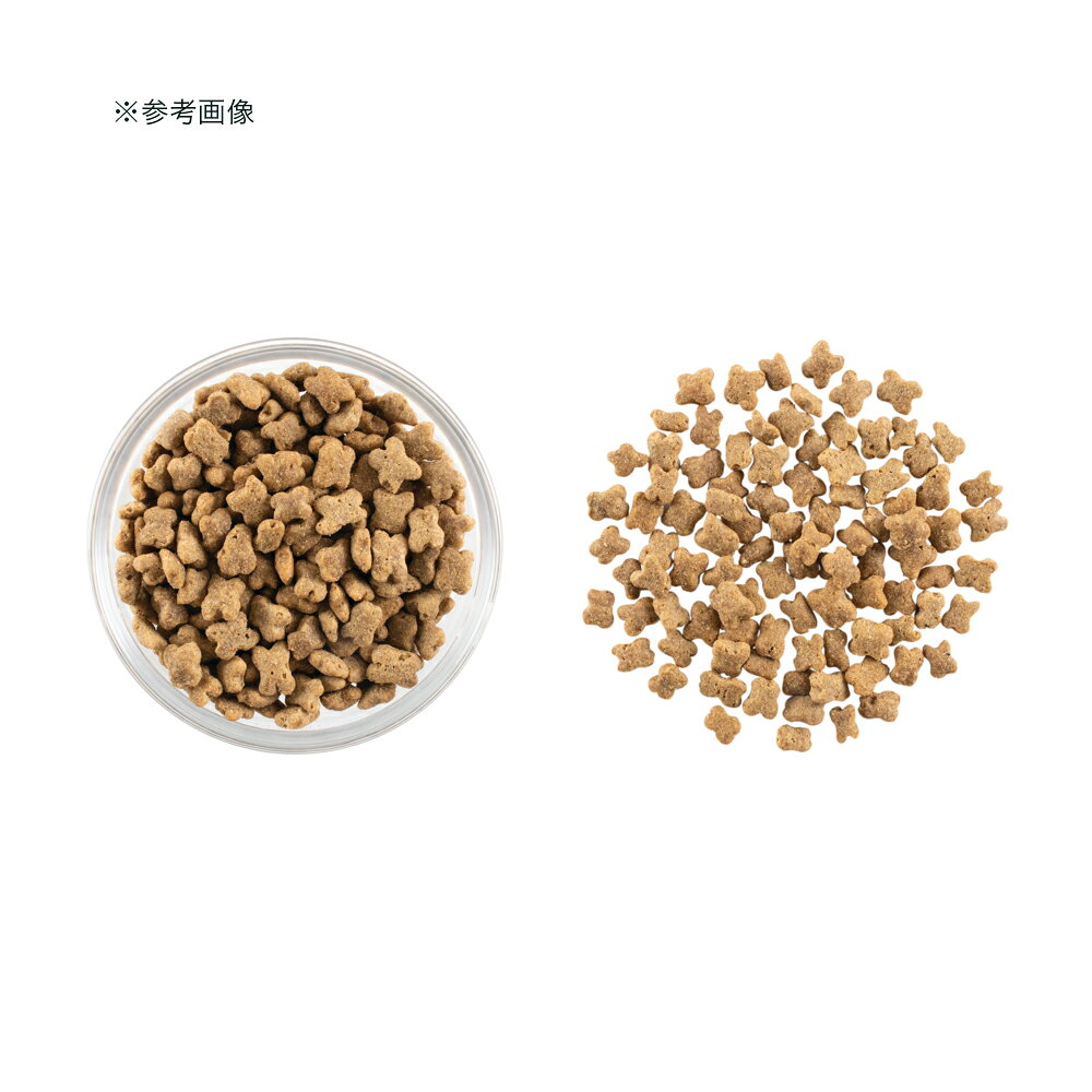 ドッグフード　NOW　FRESH　Grain　Free　スモールブリード　シニア＆ウェイトマネジメント　800g　関東当日便 chanet-11065253 charm 楽天市場店 サンプル画像3