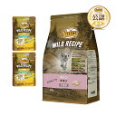 ニュートロ 子猫 キャット ワイルド レシピ キトン チキン 子猫用 2kg + ワイルド レシピ パウチ 2袋 おまけ付 猫 関東当日便