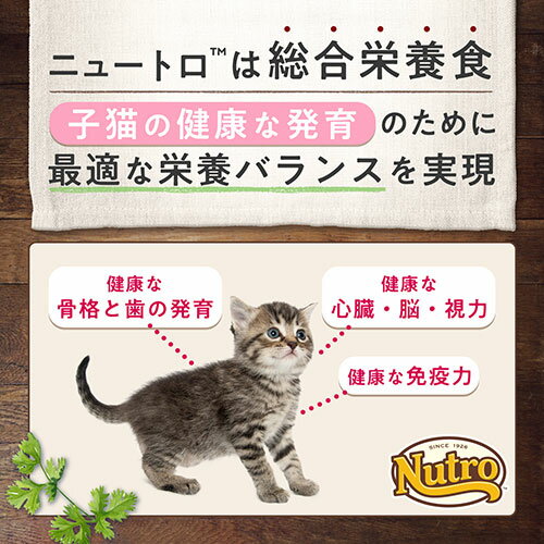 【抽選企画対象】ミニバッグおまけ付　ニュートロ　子猫用　セット　ナチュラルチョイス　チキン　2kg　＋　デイリー ディッシュ　パウチ　4袋【HLS_DU】　関東当日便