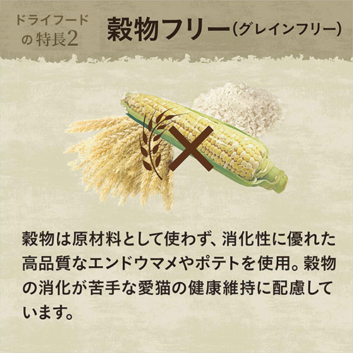 ニュートロ　猫　ワイルド　レシピ　エイジングケア　チキン　シニア猫　2kg＋パウチ　6袋＋おやつ　1袋　関東当日便 chanet-11070575 charm 楽天市場店 サンプル画像3