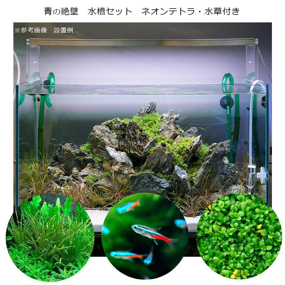 水草育成フルセット ADA - 魚用品/水草