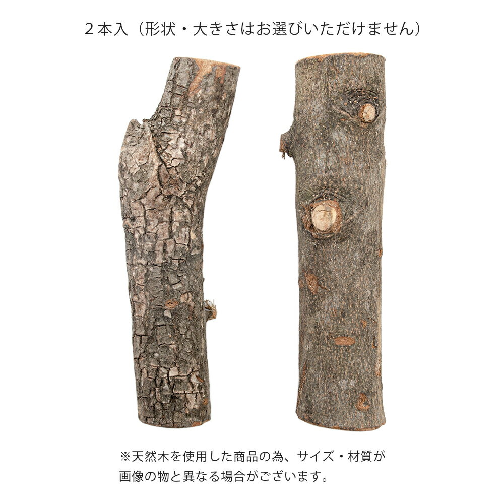 フジコン どっしり足場の木ダブル 2コ入 関東当日便の紹介画像2