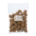 国産 そのまま殻付きクルミ 500g アクセサリ・ボタン加工用 関東当日便