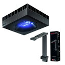 レッドシー REEF LED 160&専用マウントアーム サンゴ 成長 色揚げ ~80cm 水槽 ライト 照明 関東当日便