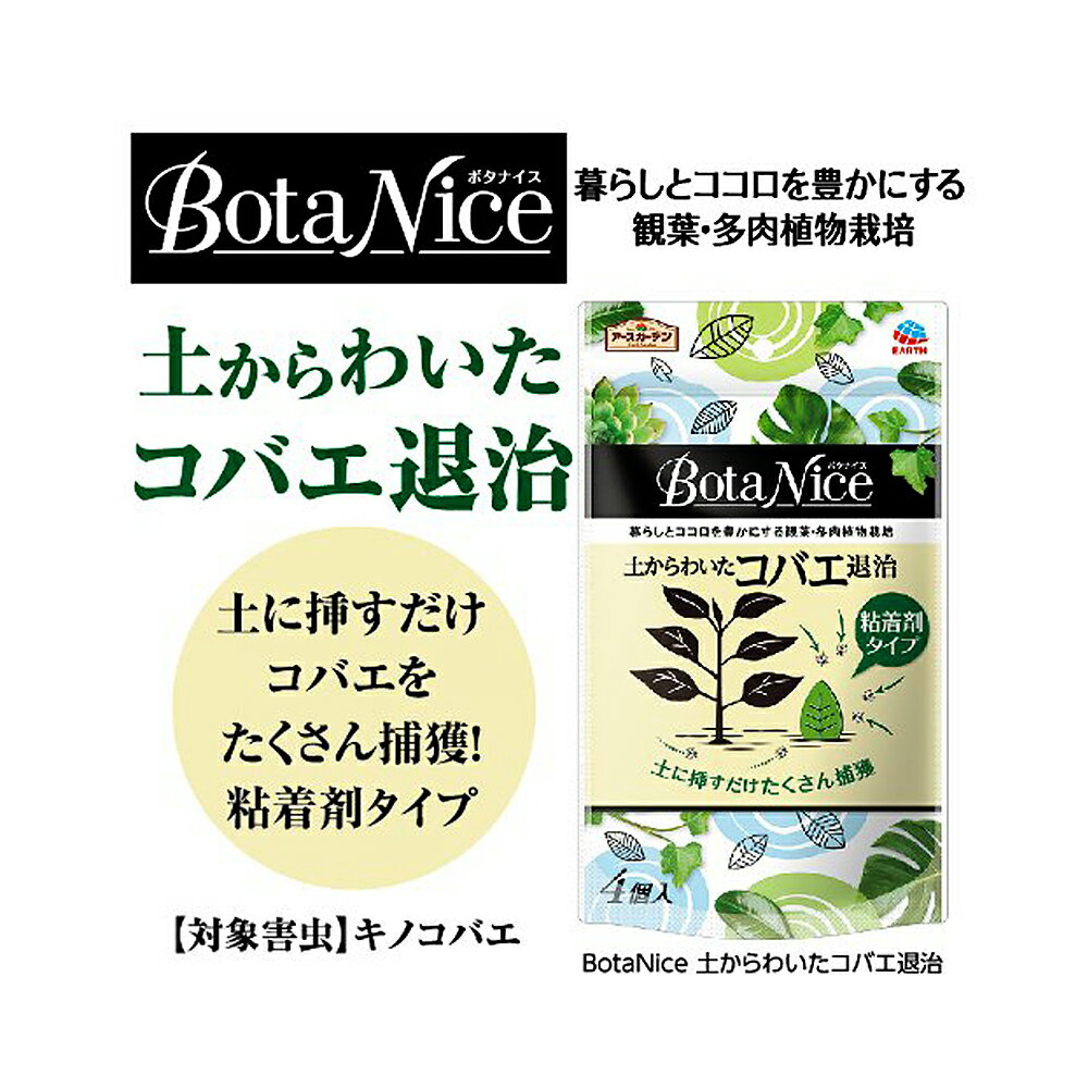 �����������ǥ�BotaNice���ڤ���襤�����Х��༣��Ǵ��ޥ����ס�4�����ꡡ����������