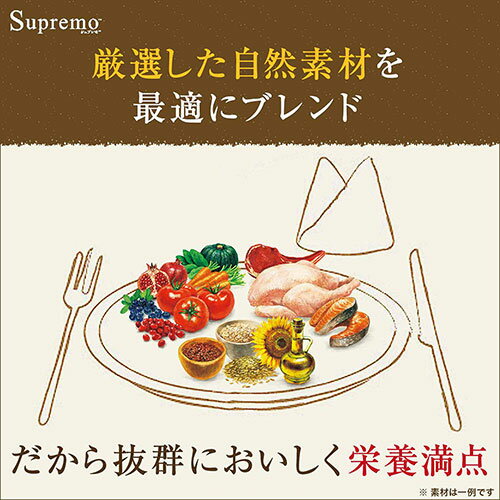 ニュートロ　シュプレモ　成犬用セット　13．5kg　＋　おやつ　ジャーキー　＋　ウェット　シュプレモ　カロリーケア　沖縄別途送料　関東当日便