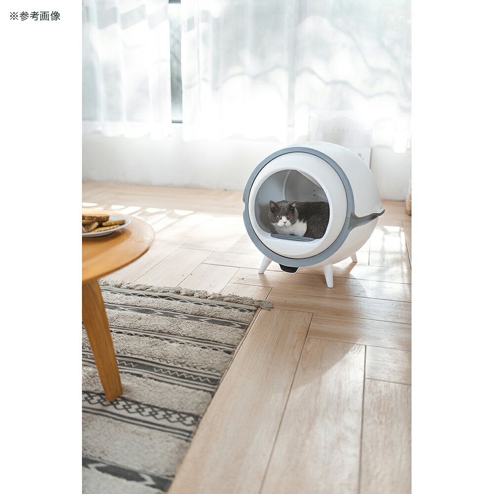 ��󤻾��ʡ�ENEVA������ưǭ�ȥ���