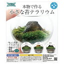 種類おまかせ 本物で作る 小さな苔テラリウム カプセルトイ 関東当日便