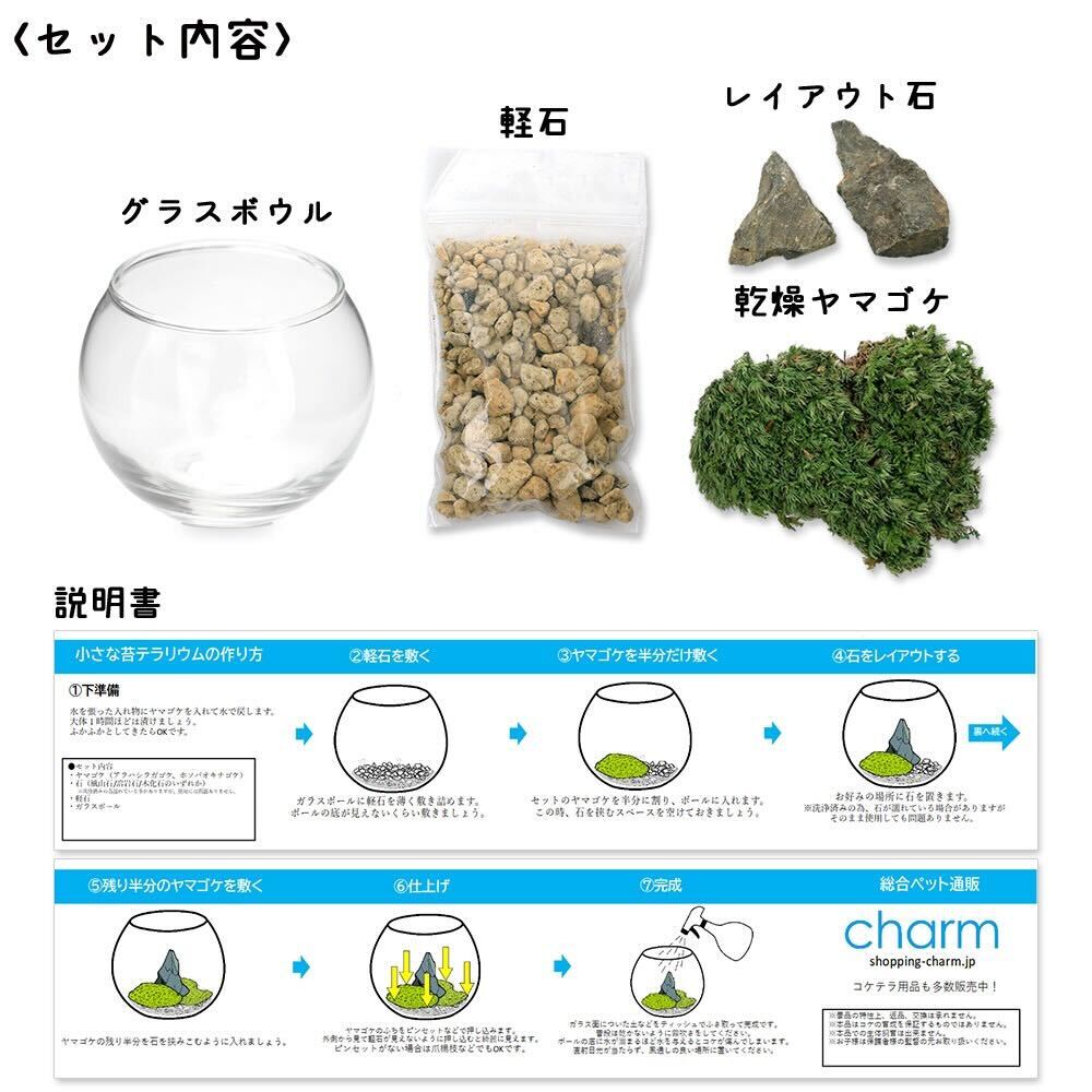 charm 楽天市場店の種類おまかせ　本物で作る　小さな苔テラリウム　カプセルトイ　関東当日便｜アングル2