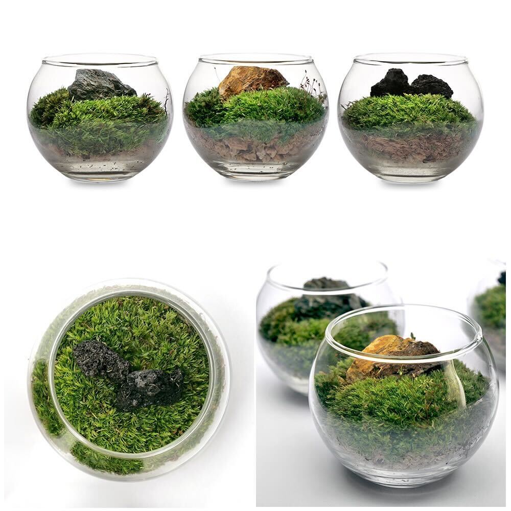 ���प�ޤ�������ʪ�Ǻ�롡�������ݥƥ�ꥦ�ࡡ���ץ���ȥ�������������