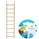 ハシゴ 9段 PA4004 鳥用 トリ 関東当日便