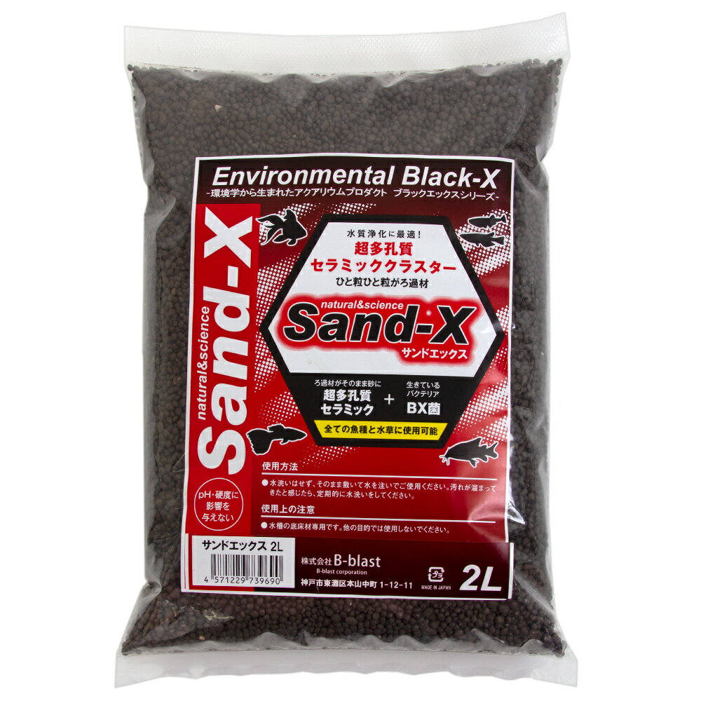 B-blast Sand-X 2L