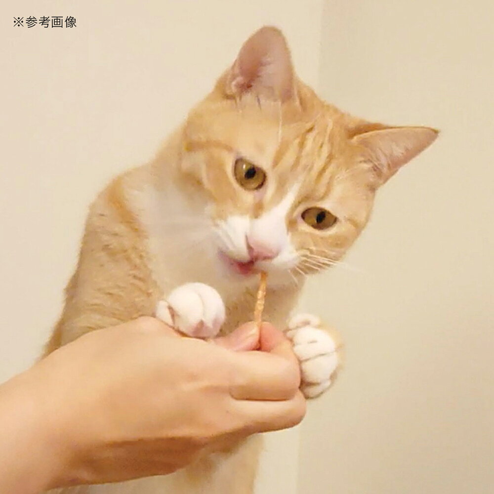 サンプル画像3