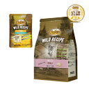 ニュートロ 子猫 キャット ワイルド レシピ キトン チキン 子猫用 400g + ワイルド レシピ パウチ おまけ付 猫 関東当日便