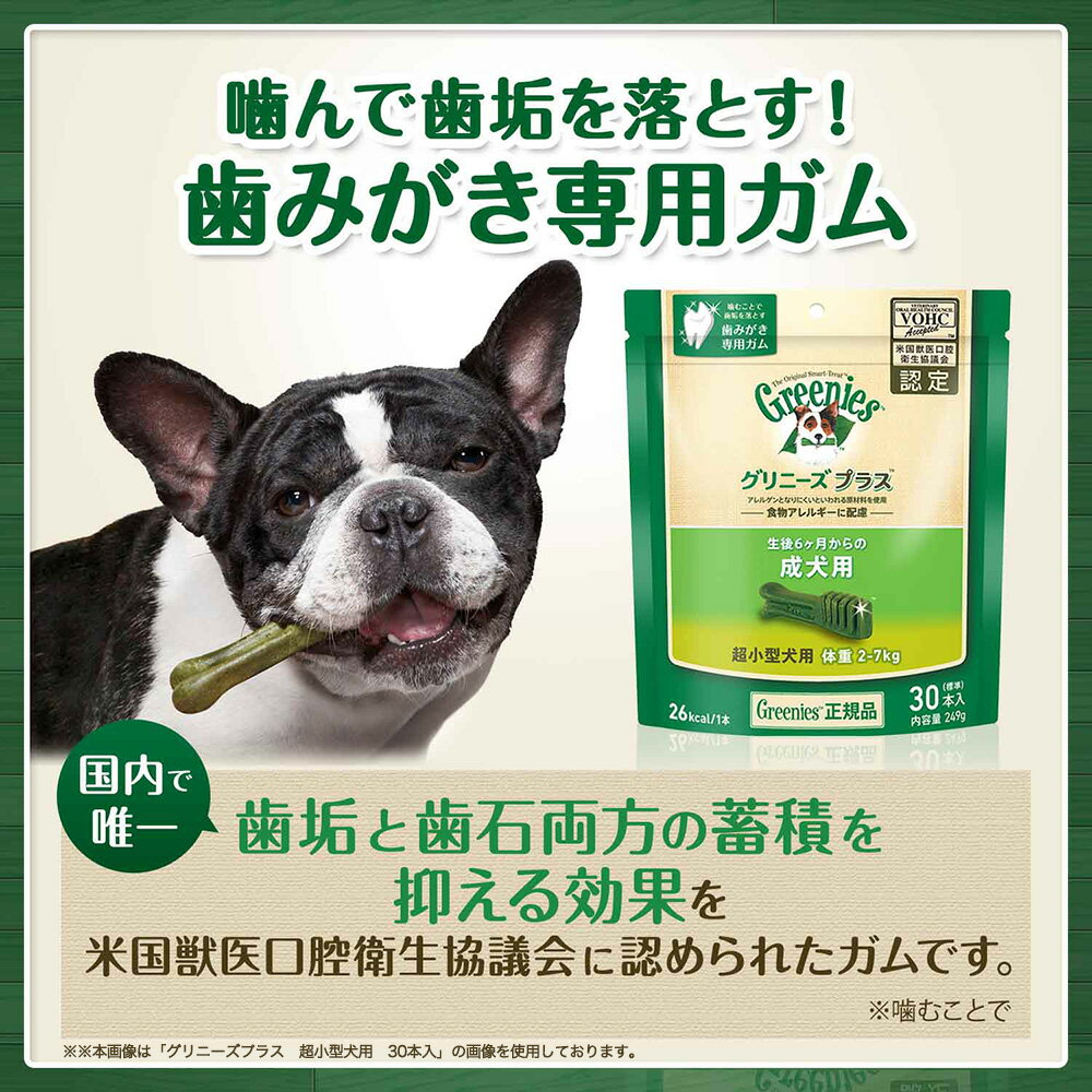 サンプル画像2