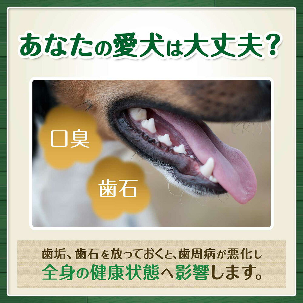 サンプル画像3